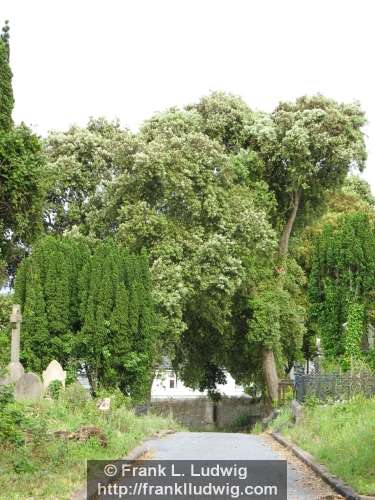 Sligo Cemetery